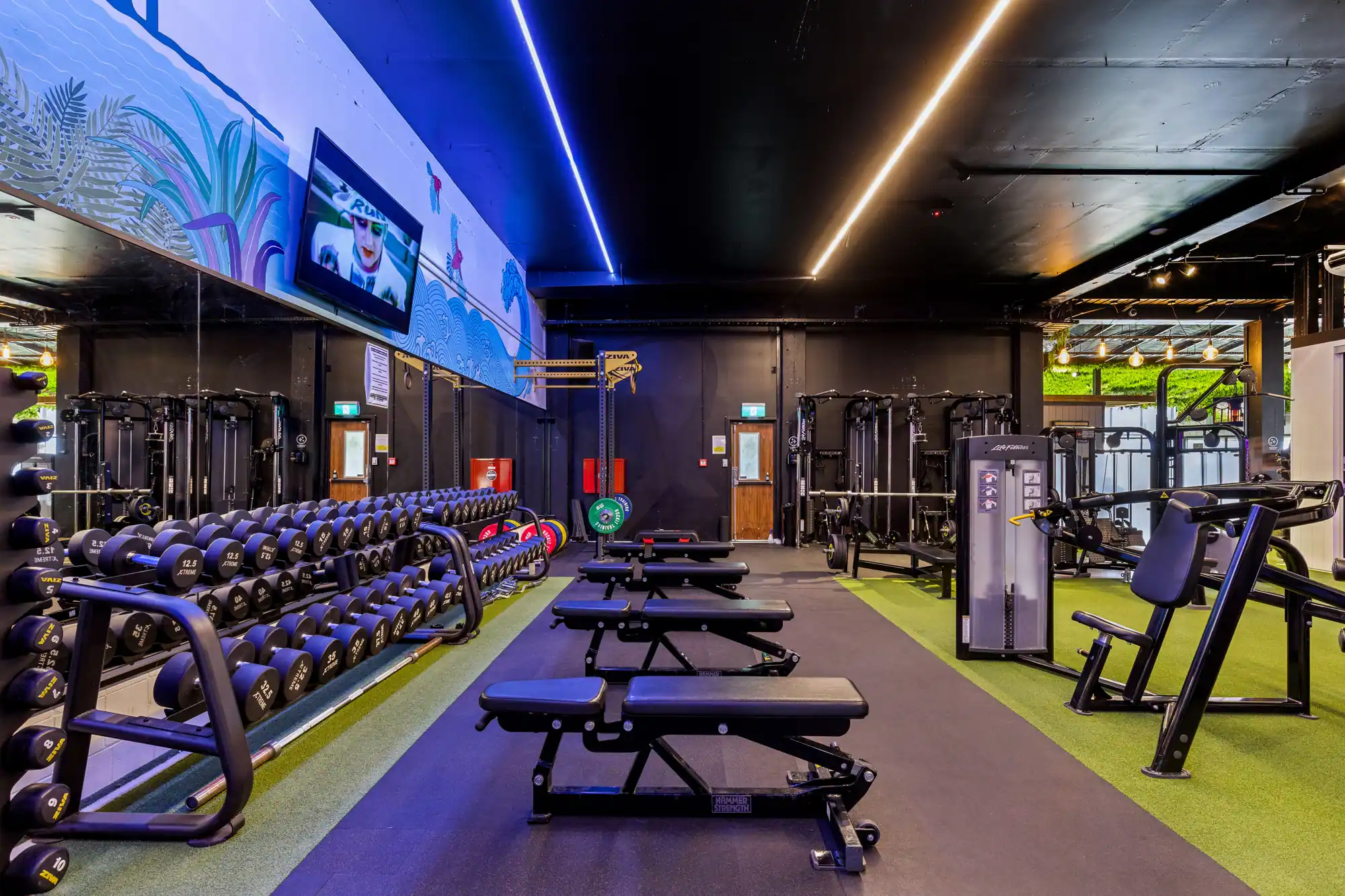 Gym floor at Flex New Plymouth